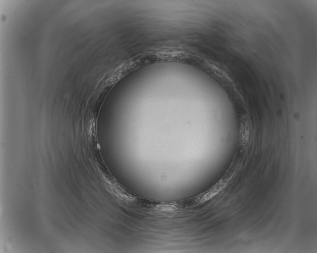 X0000087710574200705040919