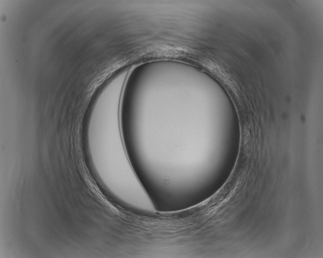 X0000087710581200705040918