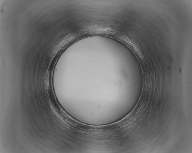 X0000087710582200705040918