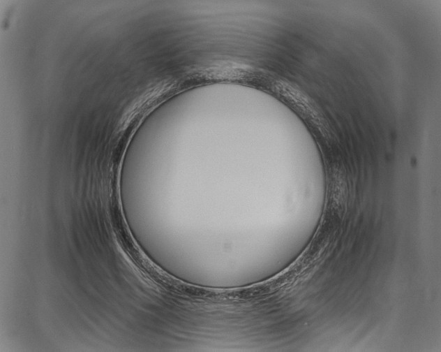 X0000087710586200705040918