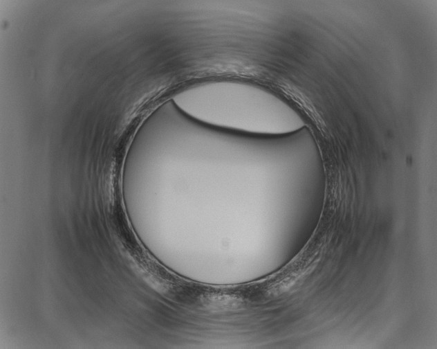 X0000087710590200705040918