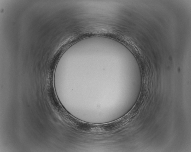 X0000087710591200705040918
