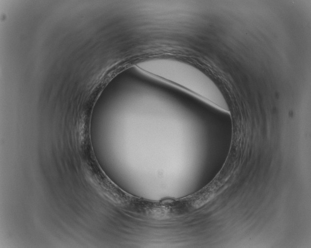 X0000087710600200705040918