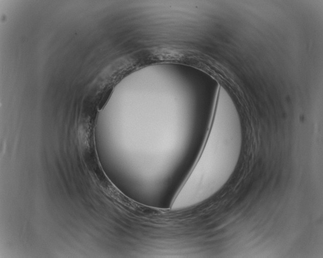 X0000087710604200705040918