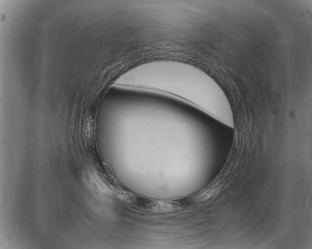 X0000087710623200705040918