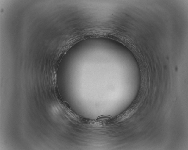 X0000087710624200705040918