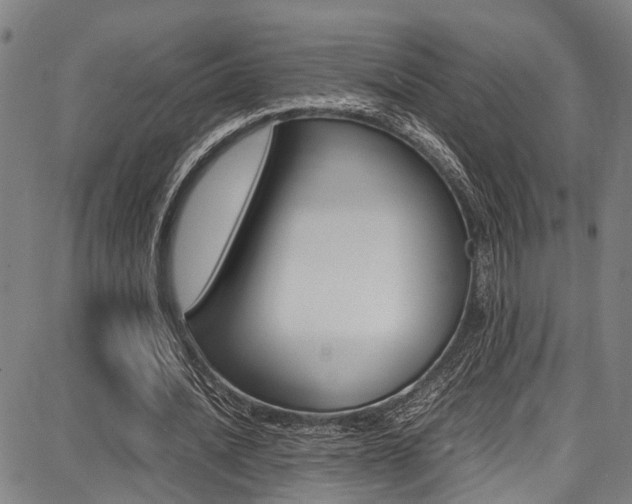 X0000087710628200705040917