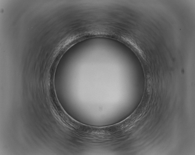 X0000087710631200705040917