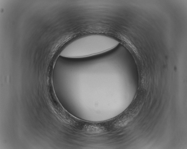 X0000087710635200705040917