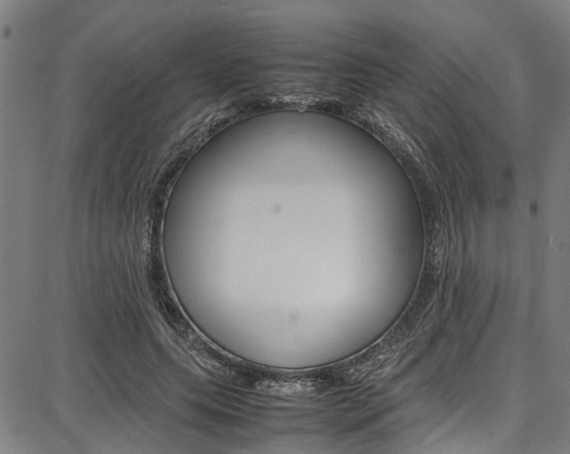X0000087710639200705040917