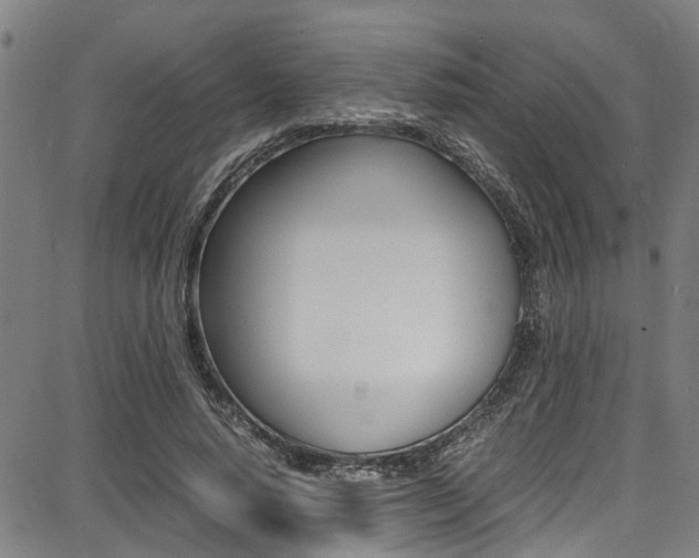 X0000087710640200705040917