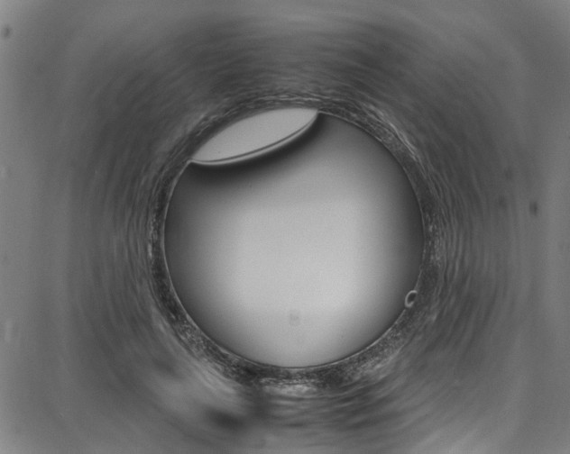 X0000087710643200705040917