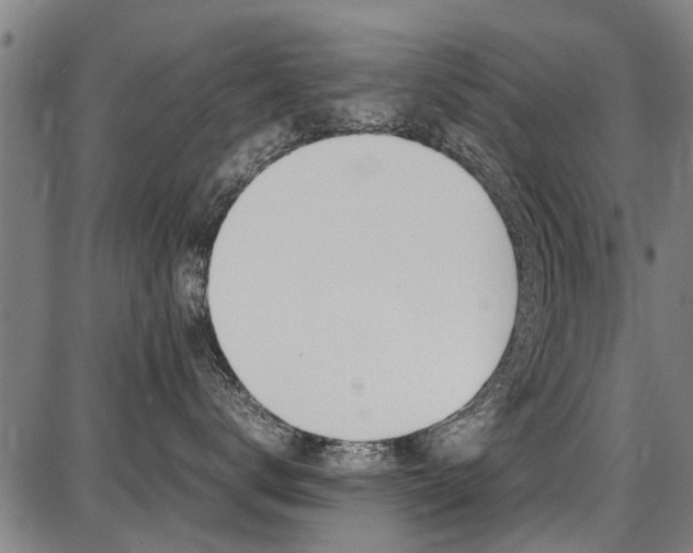 X0000087710672200705040918
