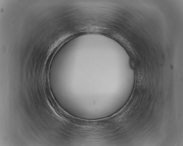 X0000087710674200705040917