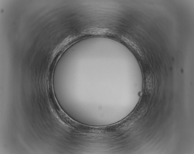 X0000087710682200705040917