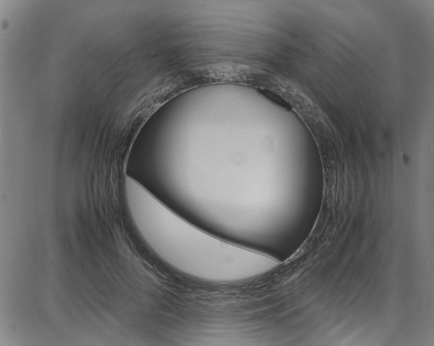 X0000087710696200705040916