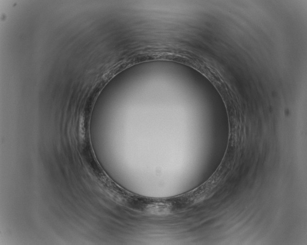 X0000087710700200705040916