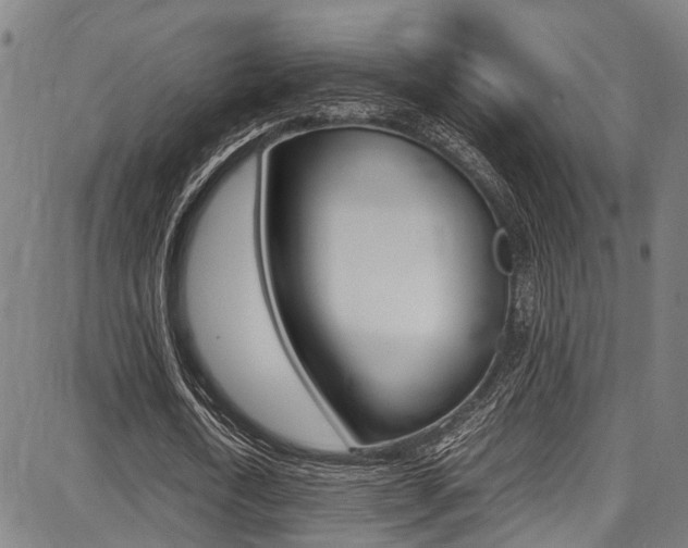X0000087710722200705040915