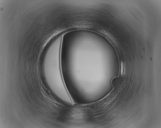 X0000087710723200705040915