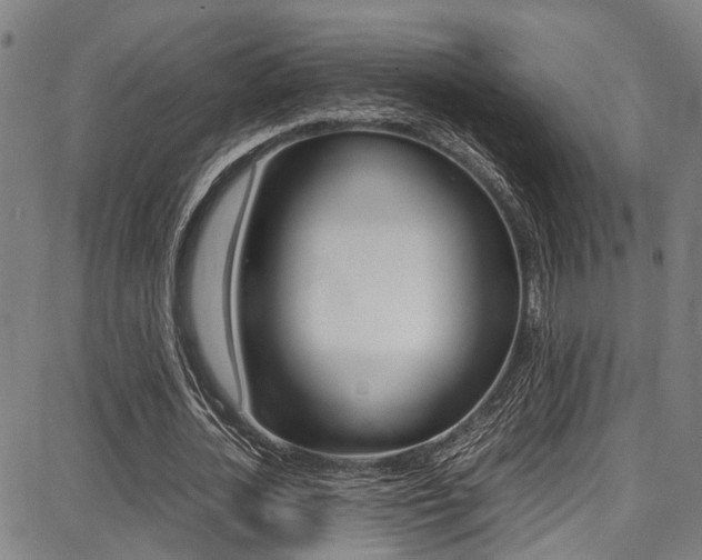 X0000087710724200705040915