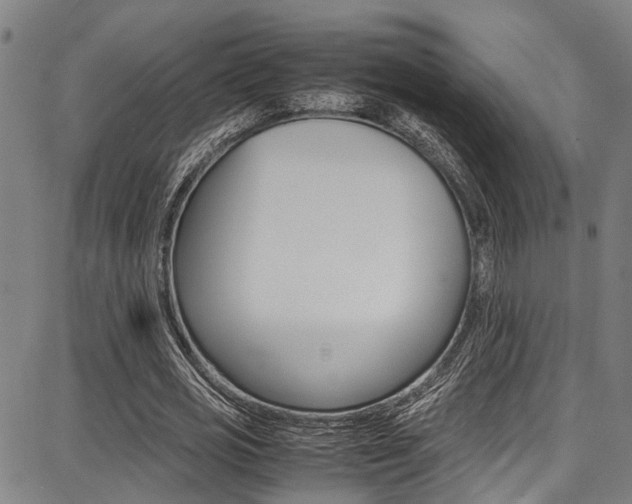 X0000087710725200705040915