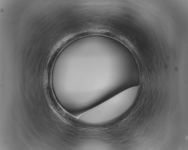 X0000087710726200705040915
