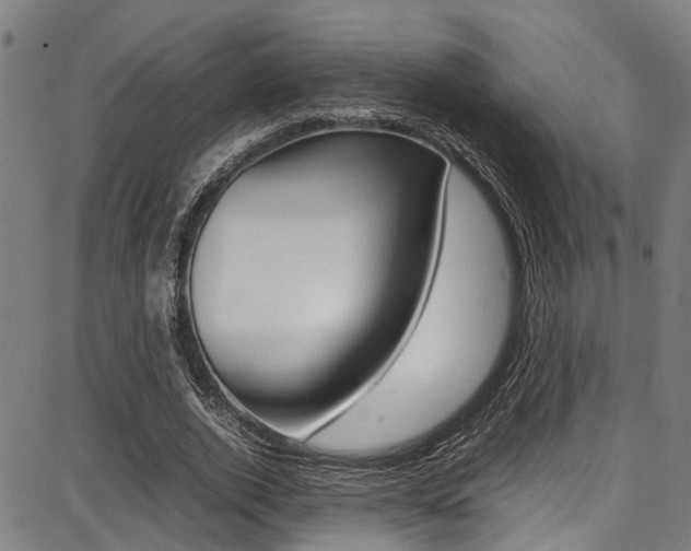 X0000087710728200705040915
