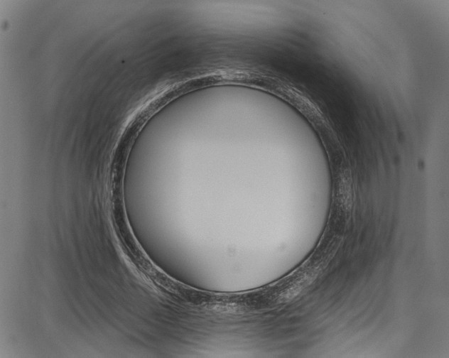 X0000087710730200705040915