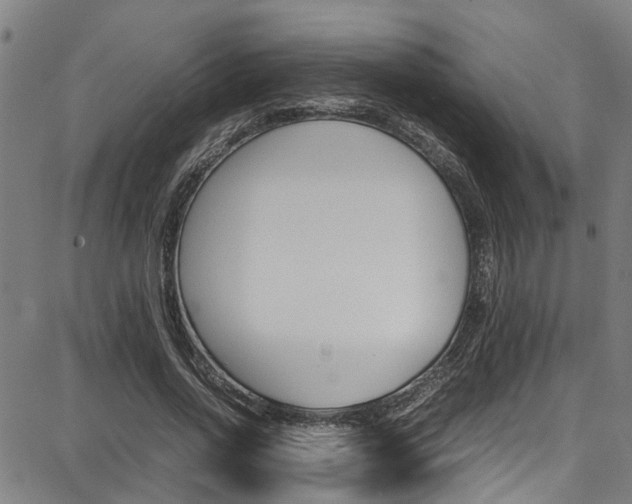 X0000087710734200705040915