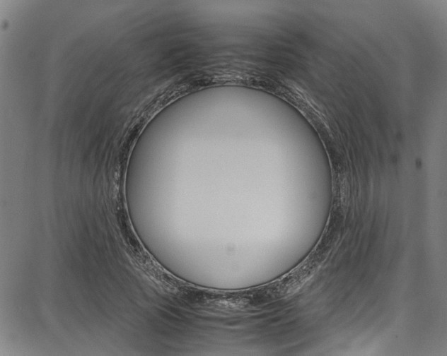 X0000087710737200705040916