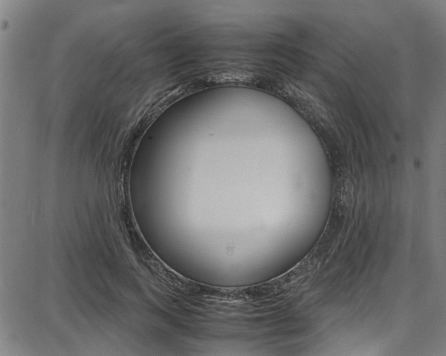 X0000087710743200705040916