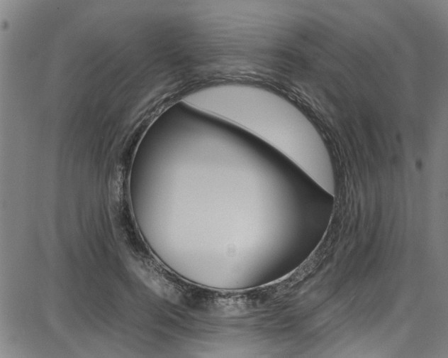 X0000087710744200705040916