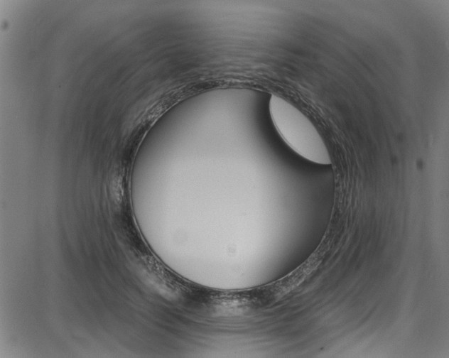 X0000087710746200705040916