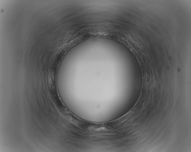 X0000087710747200705040916