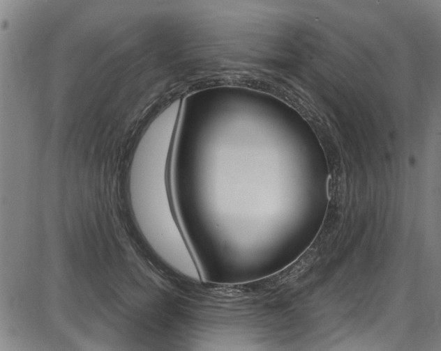 X0000087710750200705040916