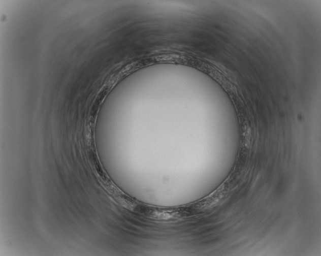 X0000087710753200705040916