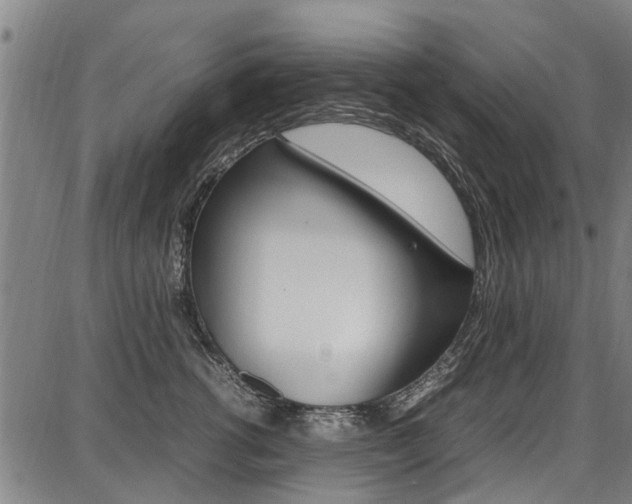 X0000087710762200705040916