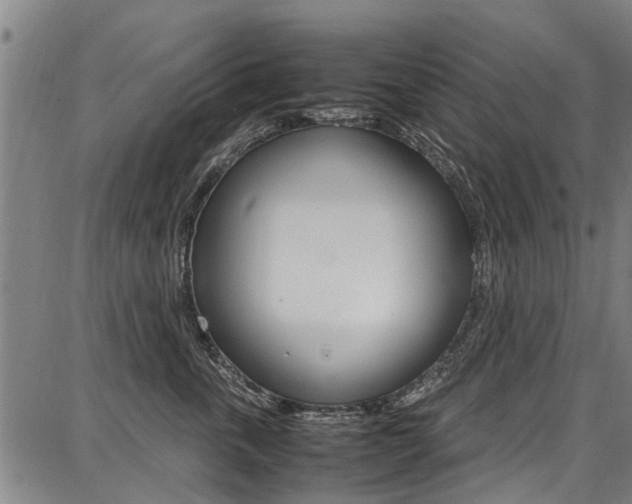 X0000087710763200705040916