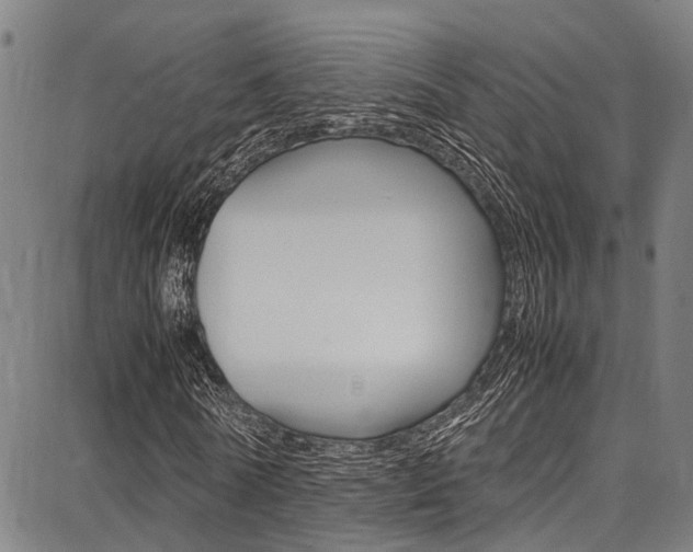 X0000087710770200705040915