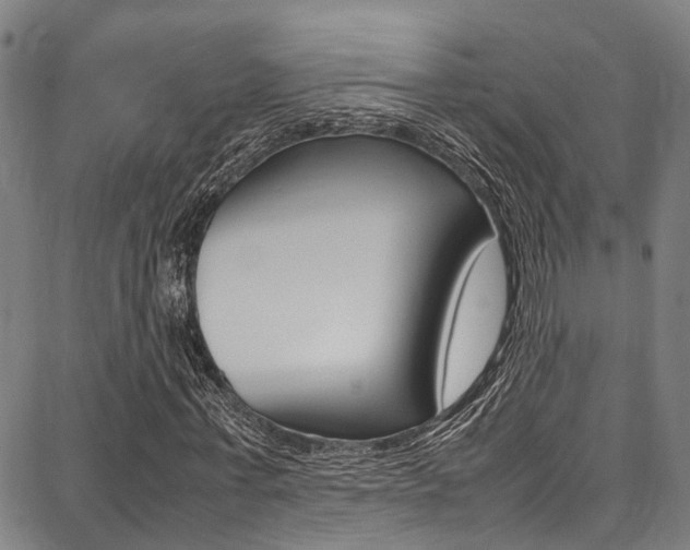 X0000087710771200705040915