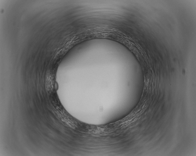 X0000087710772200705040915