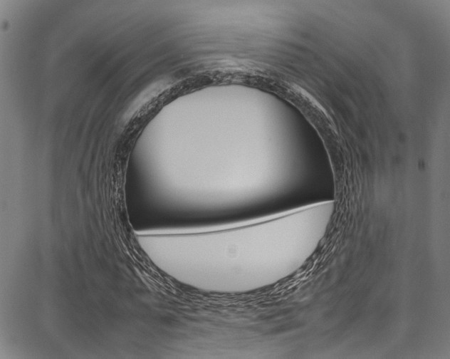 X0000087710775200705040915