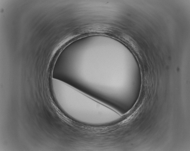 X0000087710779200705040915