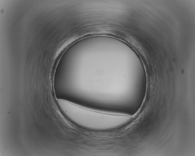 X0000087710789200705040915