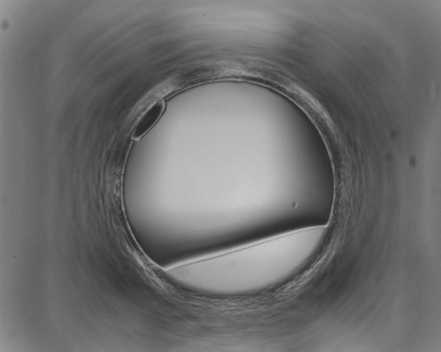 X0000087710793200705040915