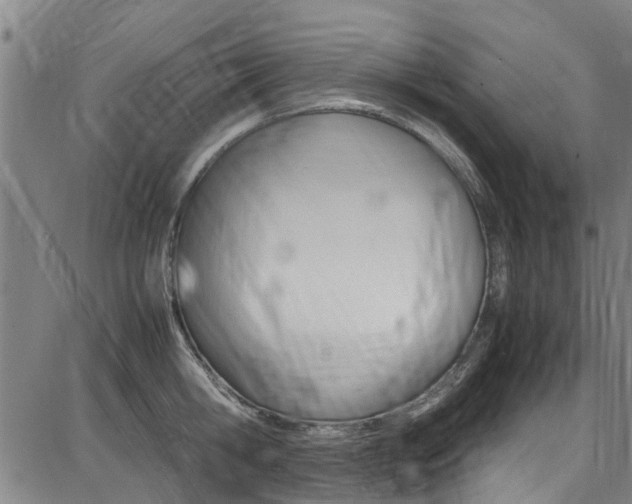 X0000087710806200705040915