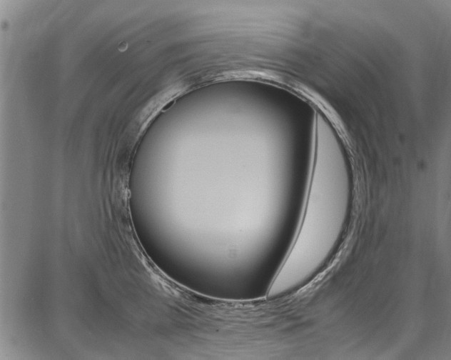 X0000087710809200705040915
