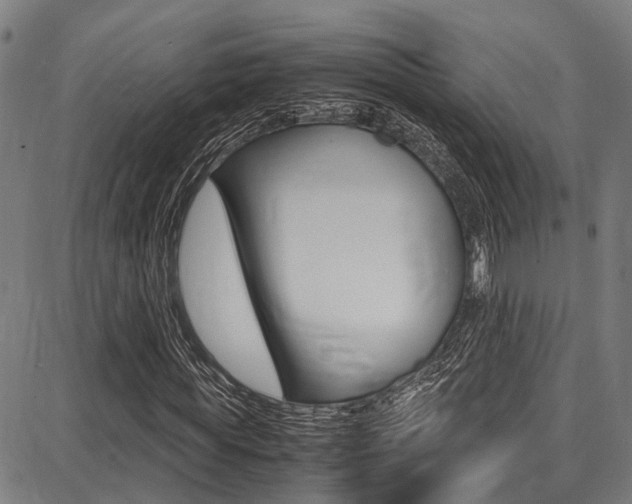 X0000087710819200705040914