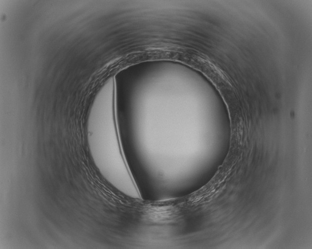X0000087710821200705040914