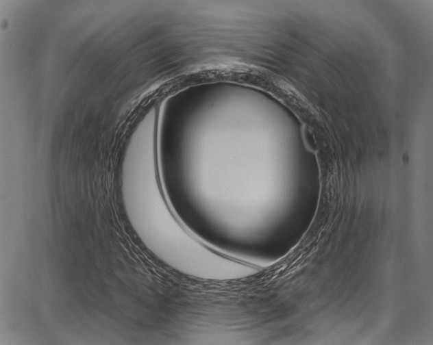 X0000087710822200705040914